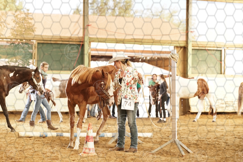 s_K3F03226.JPG